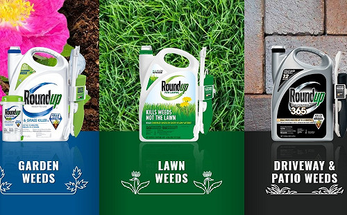 不服法院判賠89億 孟山都堅稱「年年春」安全將上訴