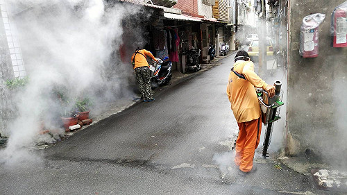 桃市首例本土登革熱通報  跨局處滅蚊孳清阻斷疫情