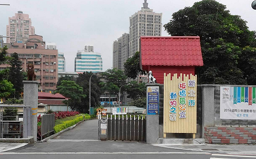 尊重生命！板橋動物之家為天上的毛小孩超薦祈福