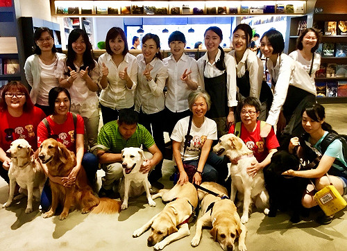 視障者的最佳夥伴 導盲犬背後的故事有洋蔥