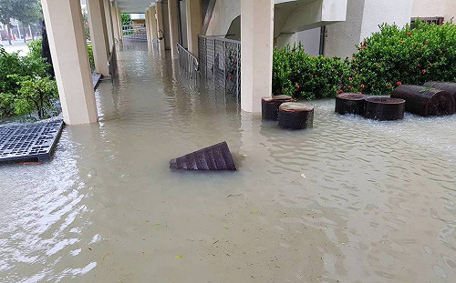 開學在即  國教署長：不排除延後開學可能！