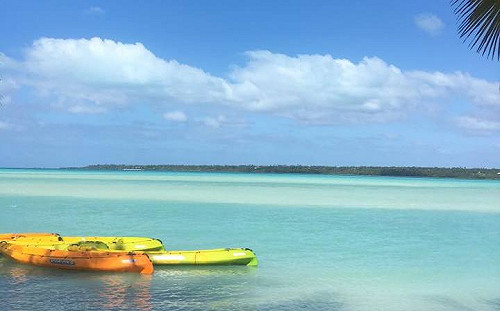 前藍營發言人楊偉中驟逝 綠營齊聲惋惜