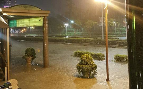豪雨成災台北市百處積水  各區傳災情
