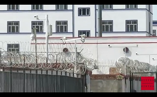 顛覆印象！ 中媒稱埃及媒體大讚新疆再教育營