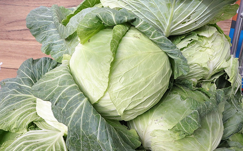 食安更有保障！衛福部監測增列三款禁用農藥