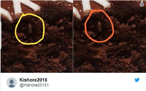 蛋糕裡有蟲！IKEA印度首店再傳蟲蟲危機