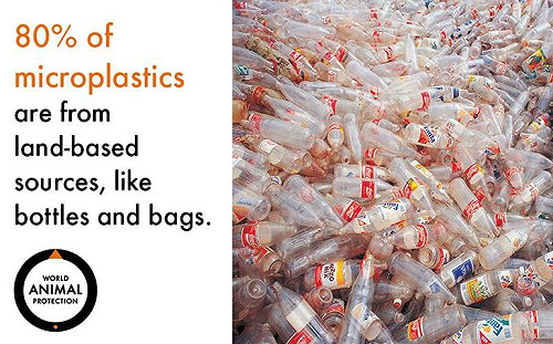 搶救海洋！沃爾瑪可口可樂等企業響應減塑