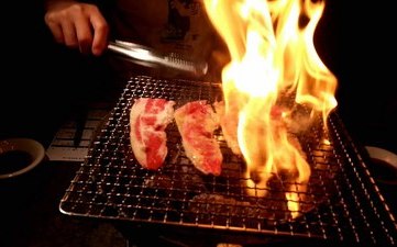 登革熱疫情還在燒 戶外烤肉別忘了防蚊