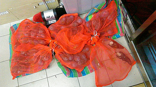 不當賣鳥屢勸不聽 放生男遭重罰45萬