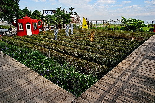 漫遊台灣紅茶故鄉！世界茶業博覽會在南投