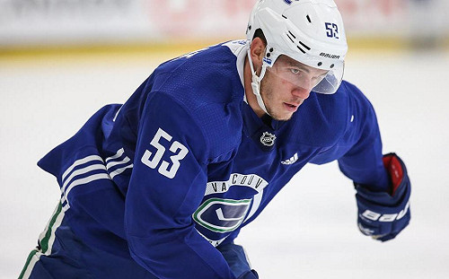 戰績不好怪遊戲？NHL「溫哥華加人」不准球員玩《要塞英雄》