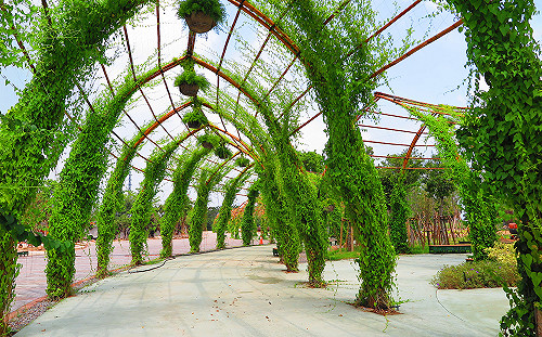 台中花博植栽設計！吸睛造型等你來欣賞