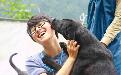 創夢實驗室》寵聊療：用專業知識與狗狗聚會，抓緊顧客的心(下)