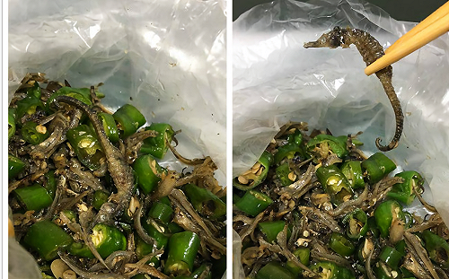 吃小菜驚見「這嬌客」！網友大讚：蛋白質很高吃到賺到