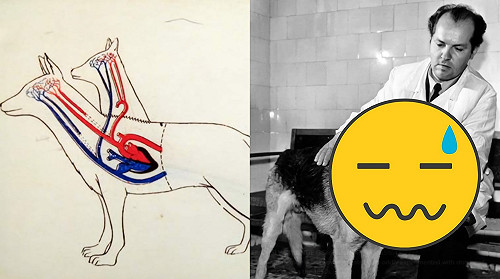 駭人！科學家截狗身創雙頭怪物 「犬形蜈蚣」入館藏展示