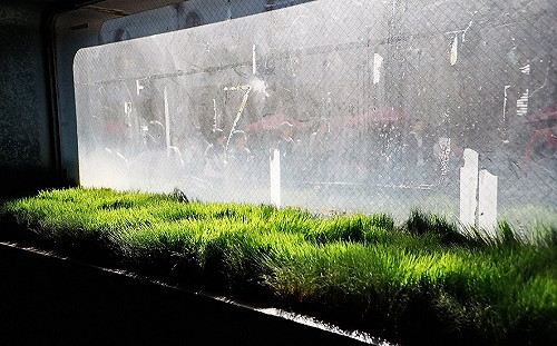 玉兔長大中恐成強颱！北台低溫預報下探15度