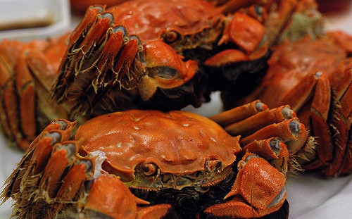 食安問題又一樁！才查出3批戴奧辛大閘蟹 又有1.4萬公斤市面流竄