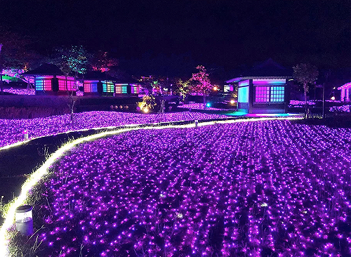 夢幻紫燈海超吸睛！四重溪泡湯暖身好選擇