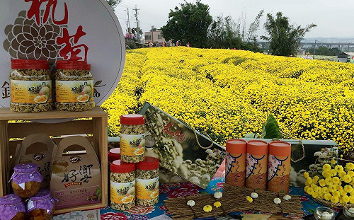 秋遊踏青嚐美味！苗栗銅鑼吃芋頭品杭菊