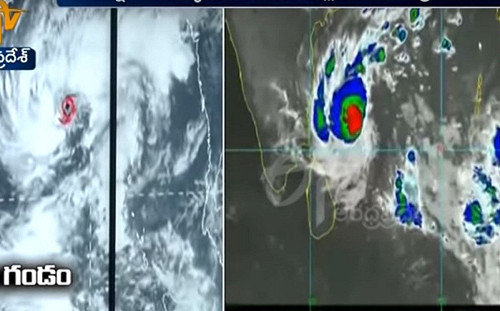 加亞挾強風侵印度東岸 人類家畜樹木無一倖免