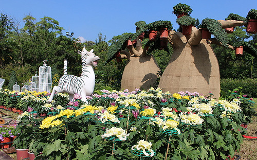 士林官邸菊展飄異國風！七大洲植栽造景超吸睛