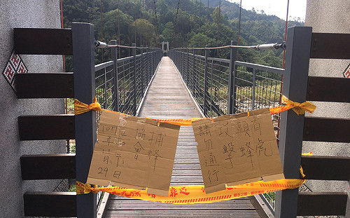 南庄4遊客遭虎頭蜂螫傷　東河吊橋暫封閉