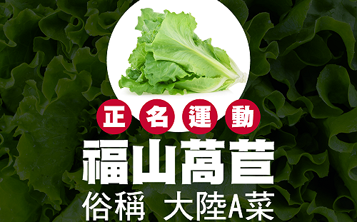 「大陸妹」涉歧視大陸配偶　政府推正名網友狂吐槽