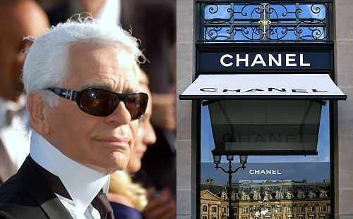 香奈兒停用鱷魚皮和蛇皮 動保團體讚揚