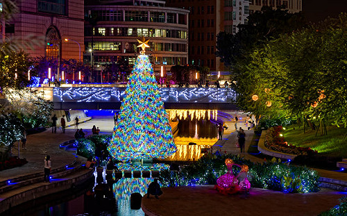 與林佳龍相約浪漫水岸！台中柳川水中耶誕樹今晚點燈