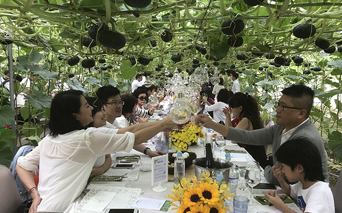 推出即秒殺！屏東南瓜田間野宴一人要價2800元