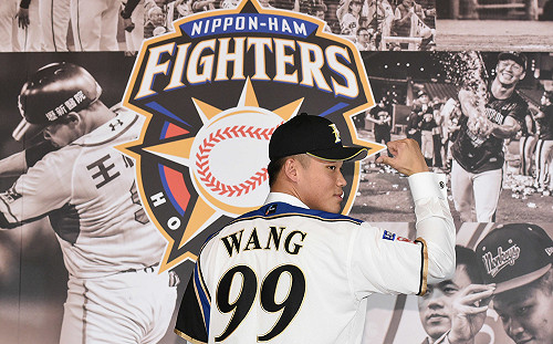 日職／火腿高規格網羅王柏融　107頁報告連滷肉飯都情蒐(影)