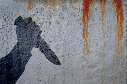 女兒遭性侵 南非「獅媽」持菜刀力斬3男 性侵犯判刑30年