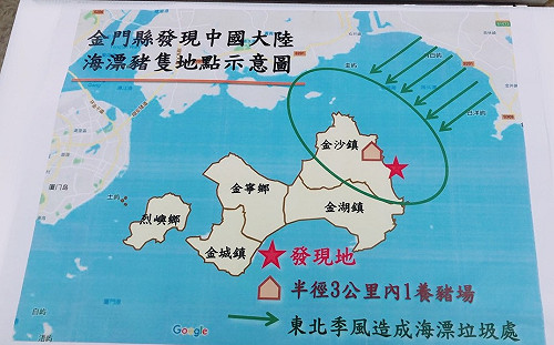 金門非洲豬瘟死豬哪來的？農委會：大陸漂過來的