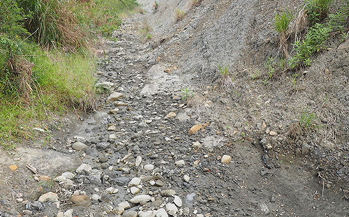 歐欣涉偽造「水土保持計畫」環團要求撤銷施工許可