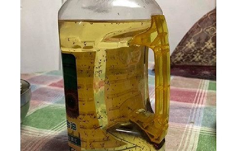 密集恐懼慎入！螞蟻在油罐內集體自殺　網驚呼：抓交替嗎？