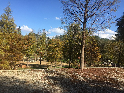 注意日夜溫差大！春節連假第二天全台依舊高溫30度