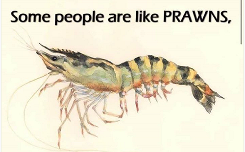 「蝦子圖」諷政治人物 蔡正元臉書論「模糊的臉」