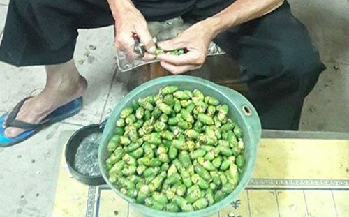 吃到「檳榔王」斃命？硬朗七旬翁痛苦倒地　送醫後不治