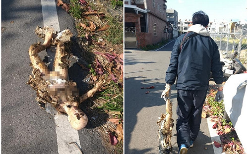 誰家女友走丟了？社區掃地驚見全裸「矽膠情人」遭棄屍