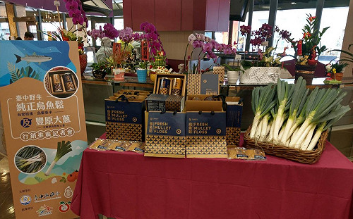 台中烏魚大豐收！創下漁港20年來的最高捕獲紀錄