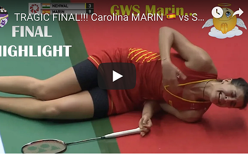 羽球／戴資穎勁敵瑪琳右膝韌帶斷裂　至少休養半年(影)