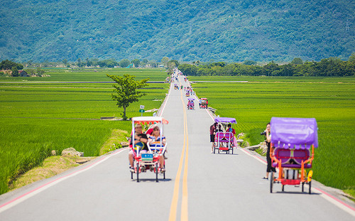 台灣好行新增「池上關山線」！每日4班行駛台東天堂路