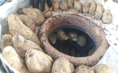 新春免費烤地瓜結緣  集集鎮國寺歡迎來拜佛