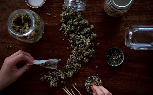 大麻邁向合法化 是福還是禍難定