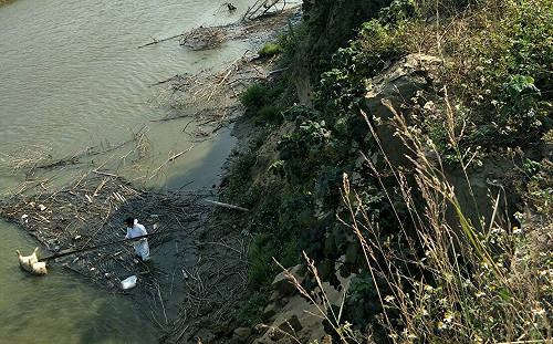 快訊》嘉義驚傳病死豬再現！緊急採樣送檢