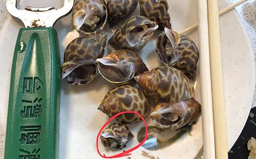 去旗津旅遊被當「潘子」 韓國瑜怒：列不推薦名單