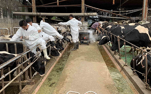 牠也有身份證　原來是為了...