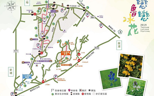 桃園龍潭「戀戀魯冰花」16日登場　交通、接駁資訊看這裡