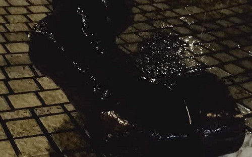 「威權歹物膏膏纏 轉型正義袂使等」聲明全文