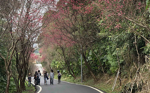 春天就是要出去玩！全台22縣市春遊補助出爐